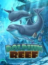 DolphinReef